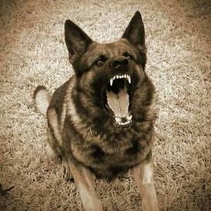 Meet your Posher, Douglas